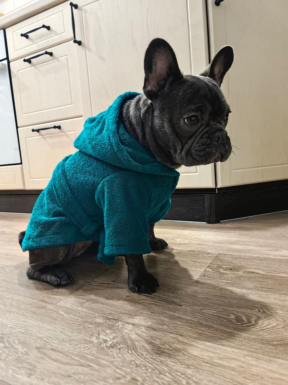 снимок Халат для собак махровый изумруд от магазина BIO-TEXTILES ОПТ