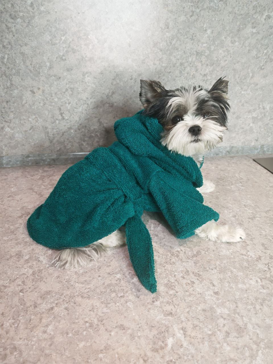 снимок Халат для собак махровый изумруд от магазина BIO-TEXTILES ОПТ