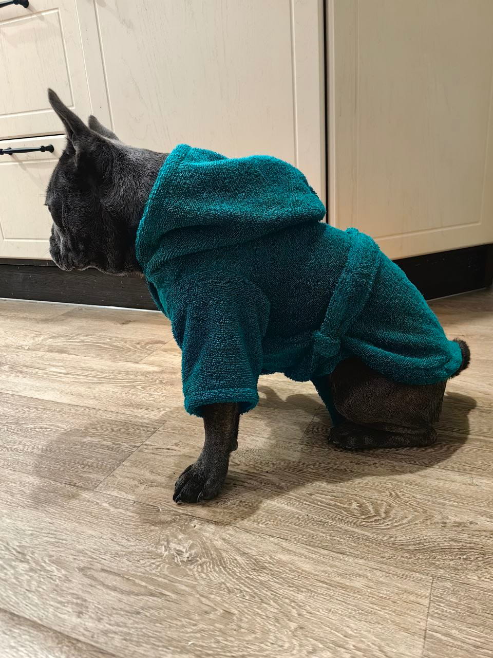 снимок Халат для собак махровый изумруд от магазина BIO-TEXTILES ОПТ